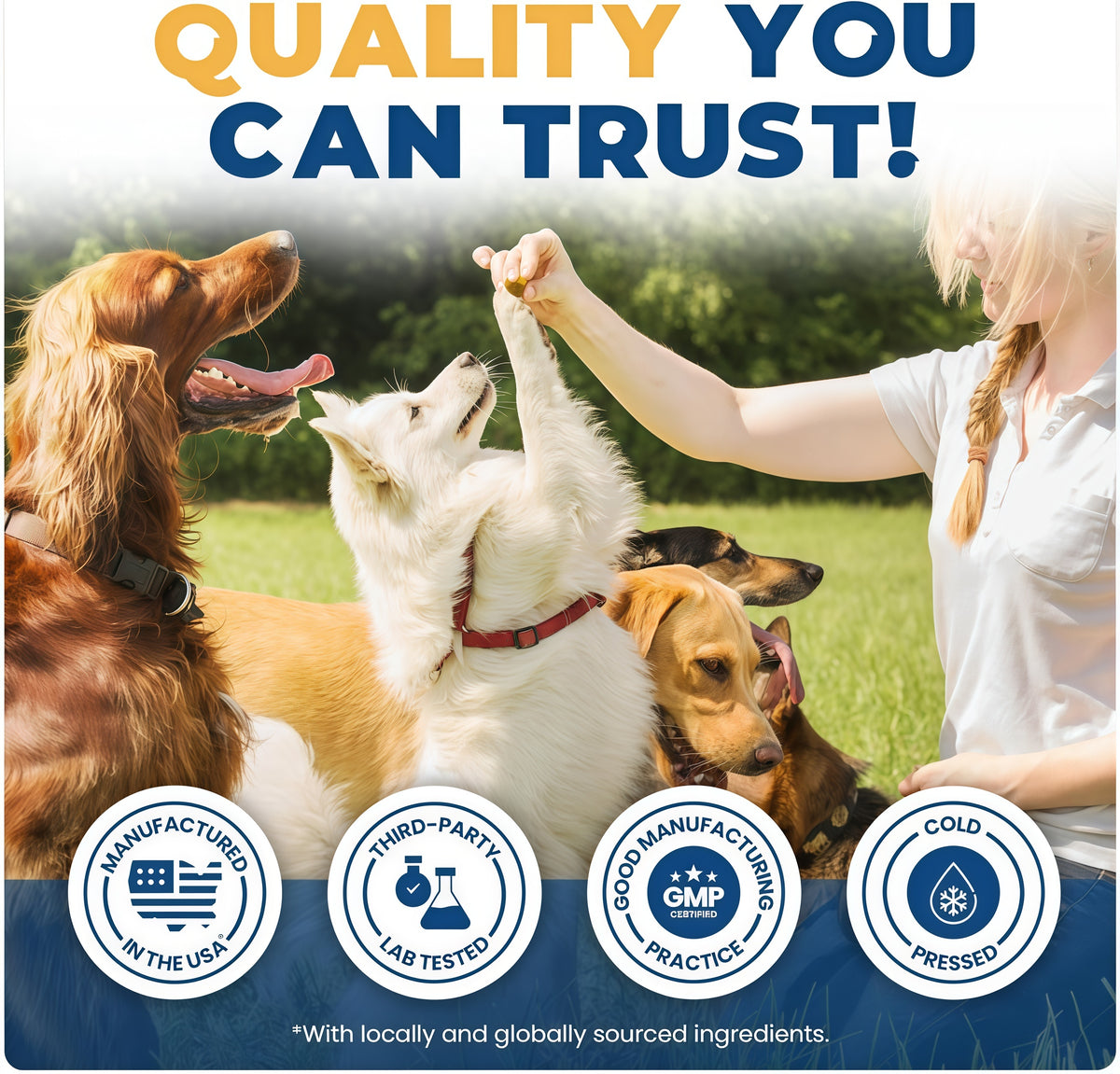 Jope Hip & Joint Dog Chews-6o Count